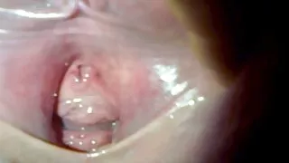 Auburn bitchie nymphos désir de sucer lollicock et se faire baiser brutalement